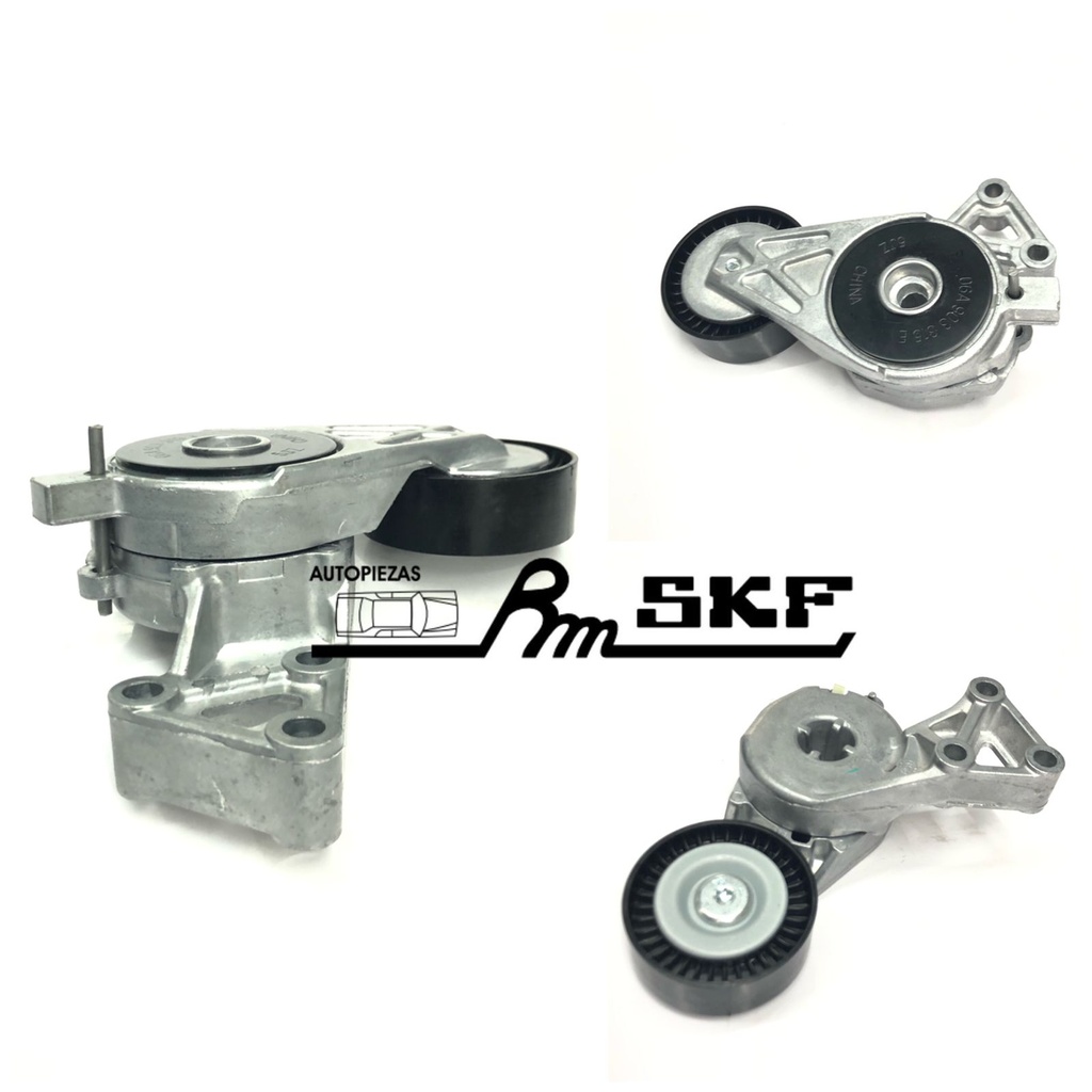 VKM 31011 A — GMB