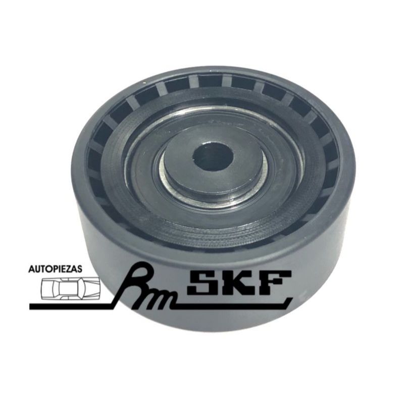 VKM 36025 — INA