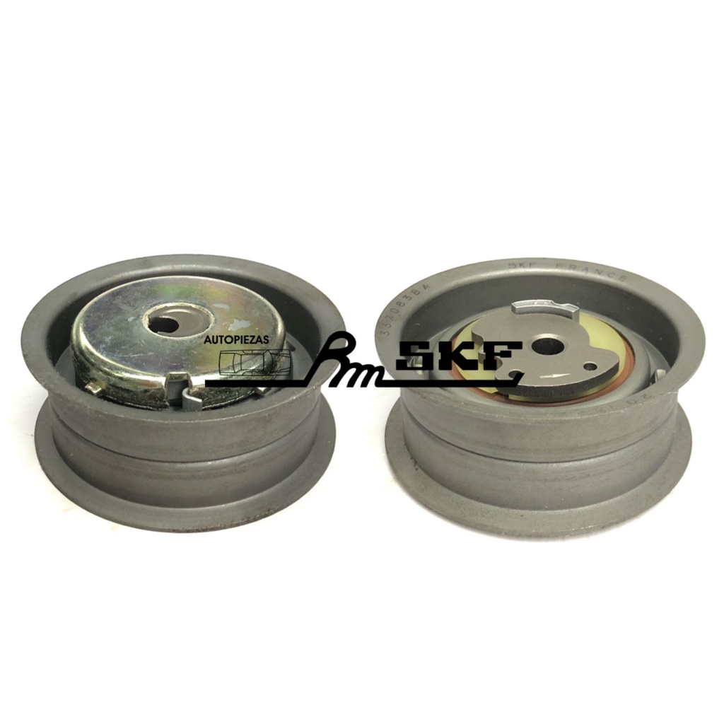 VKM 11021