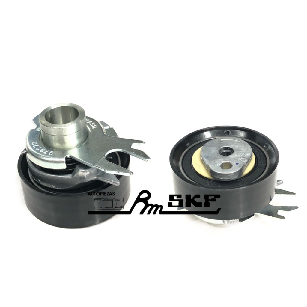 VKM 11106