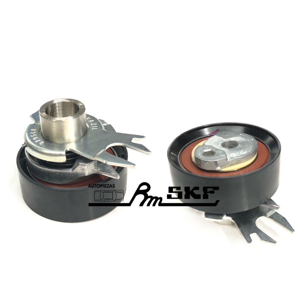 VKM 11107 A