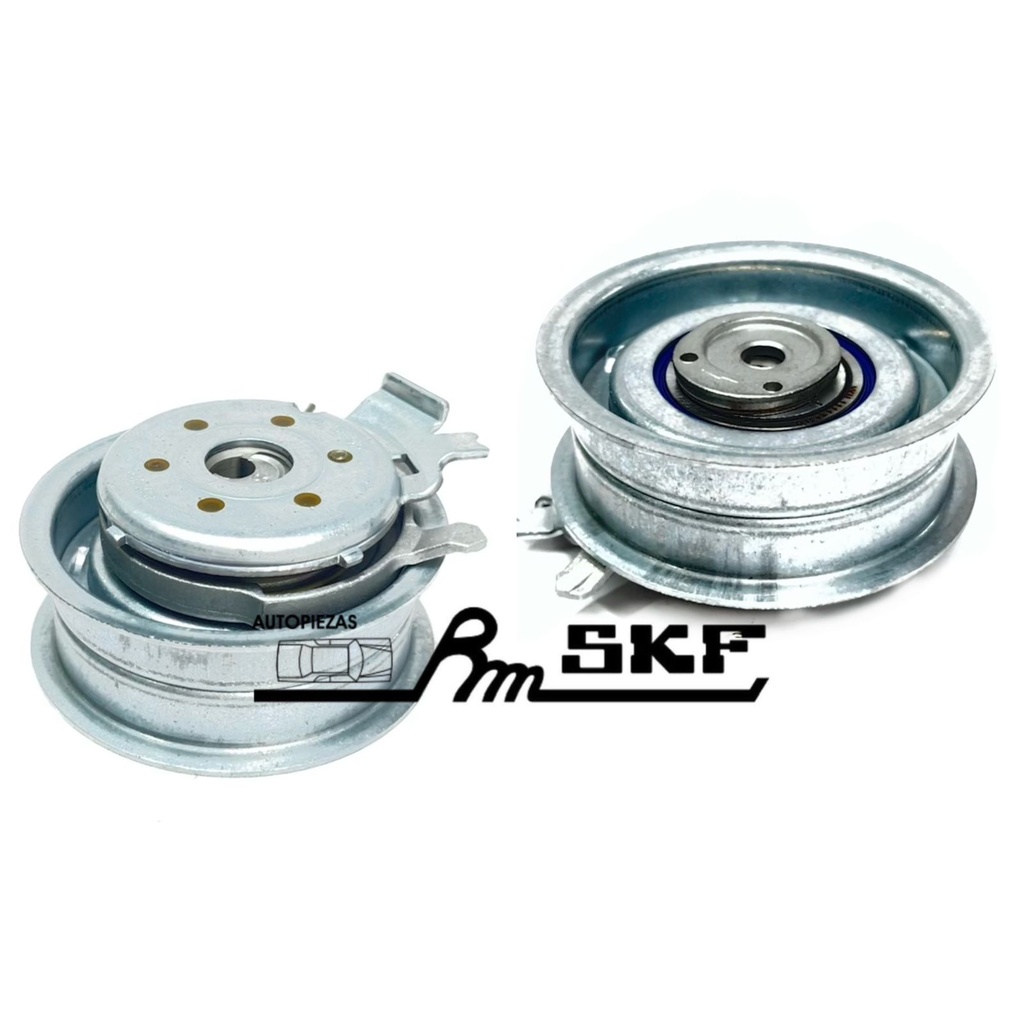 VKM 11113