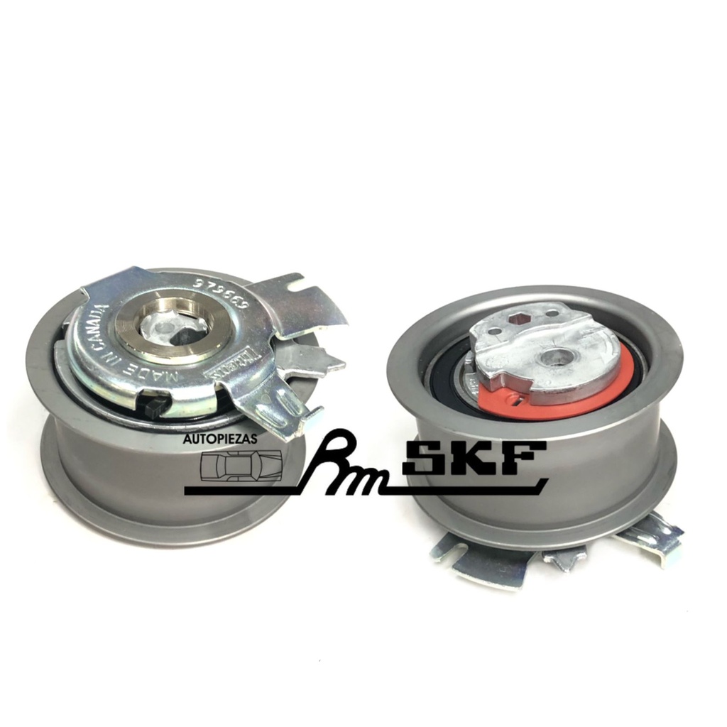 VKM 11255