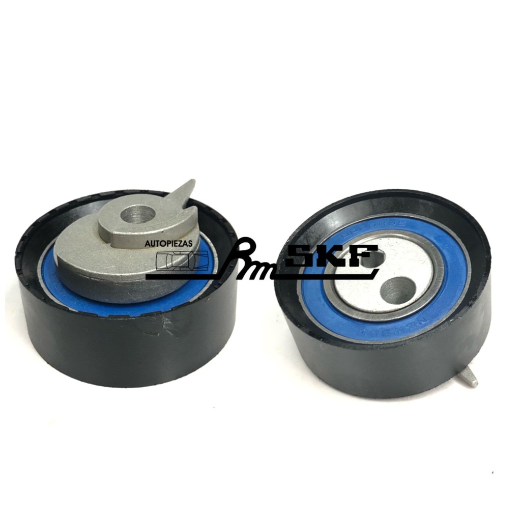 VKM 11258