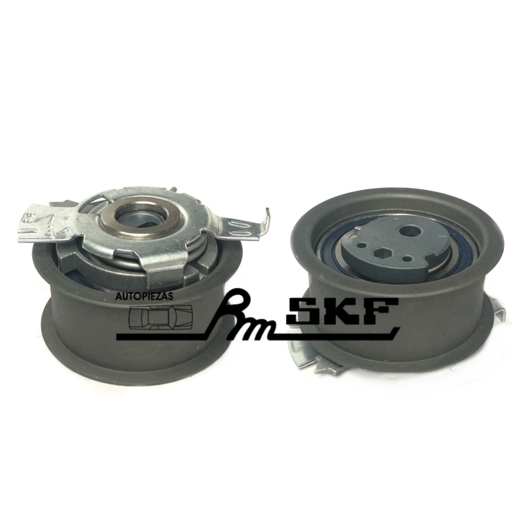 VKM 11263