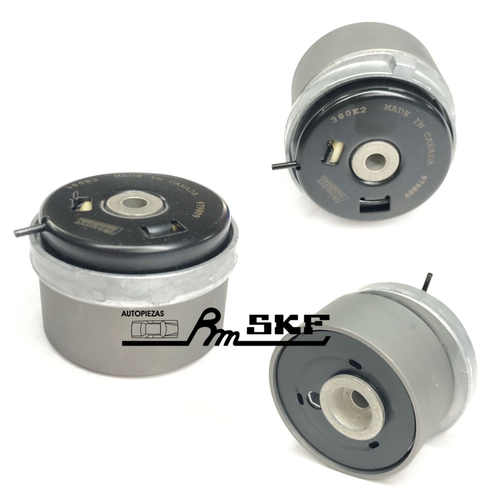 VKM 15260